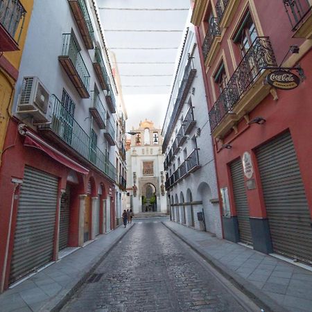 Casa Hernando Colon Sevilla Eksteriør billede